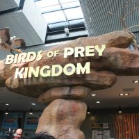 Birds of Prey Kingdom at the Manila Ocean Park
