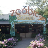 Zoobic Safari : Feeding the Lions in Subic Plus a Lot of Other Attractions